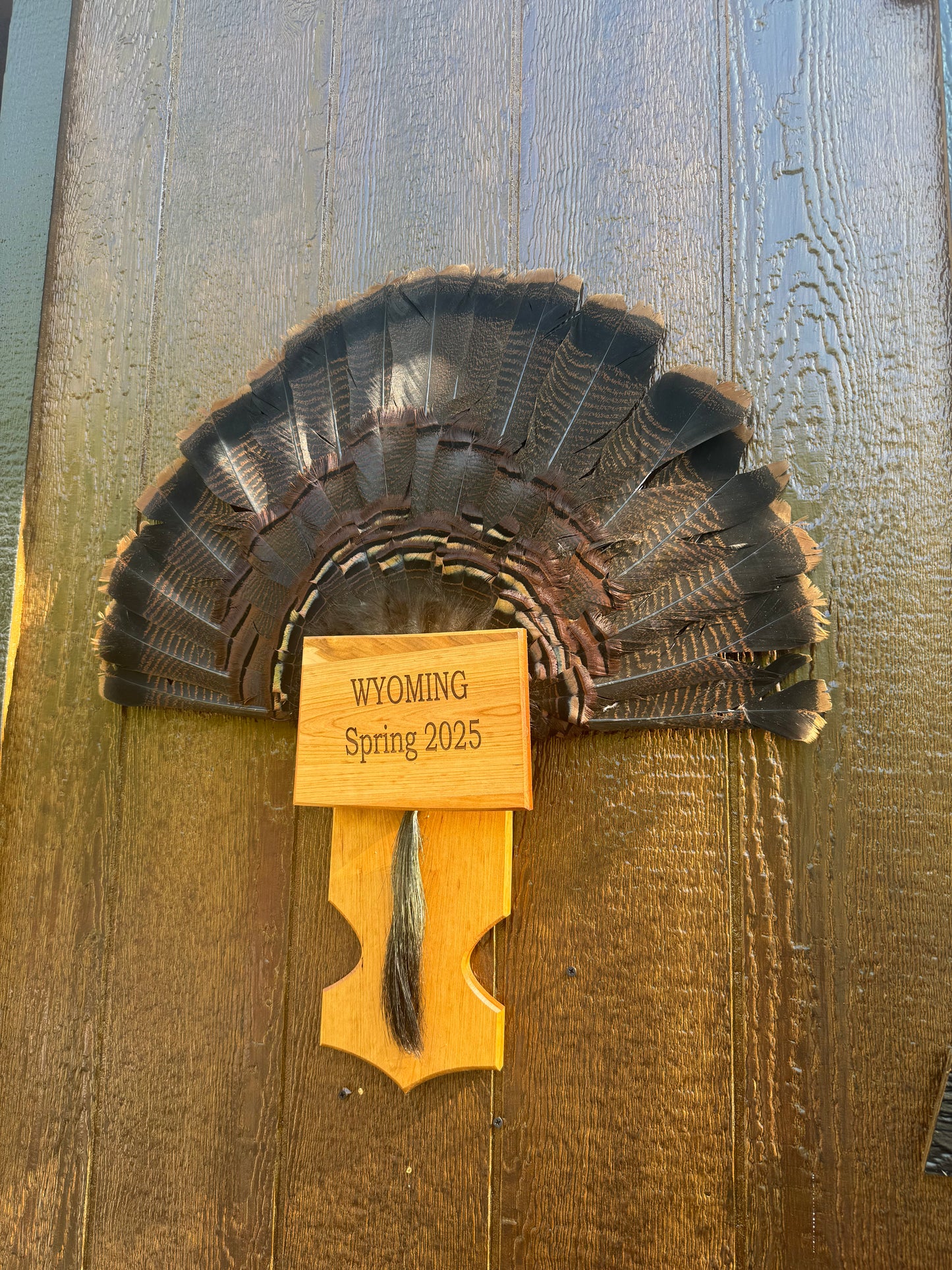 State Turkey Tail Plaques