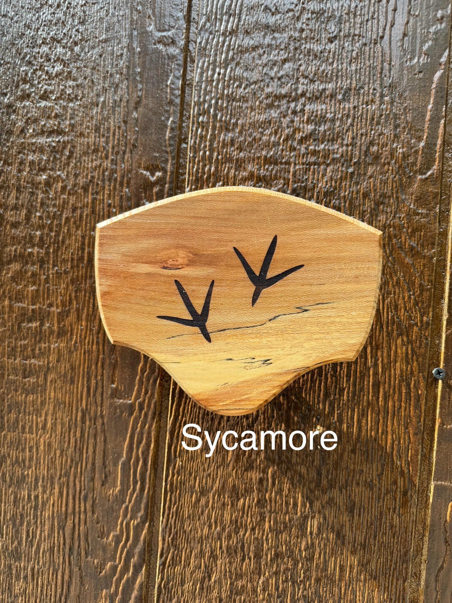 Turkey Track Tail/Beard Plaque