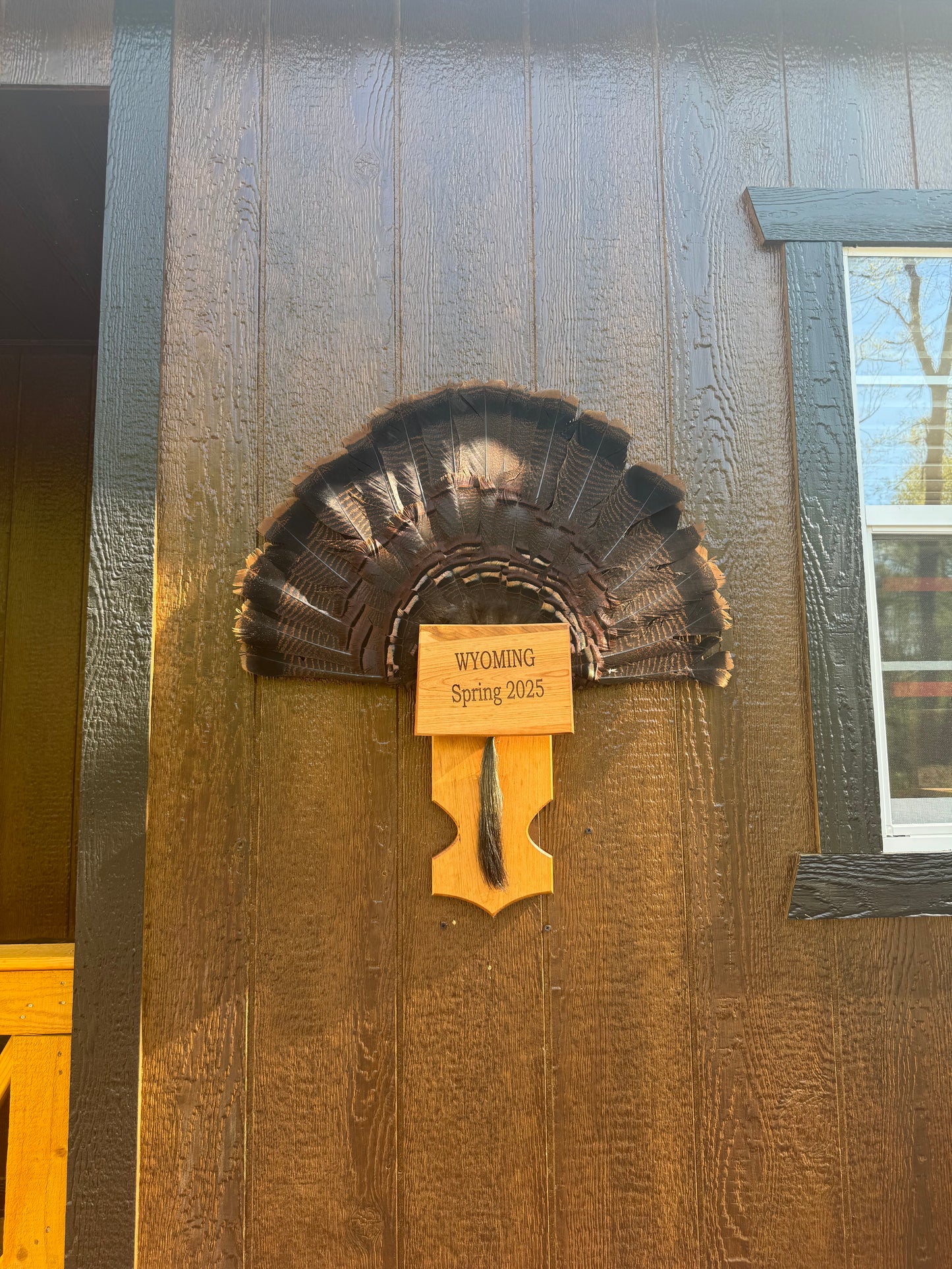 State Turkey Tail Plaques
