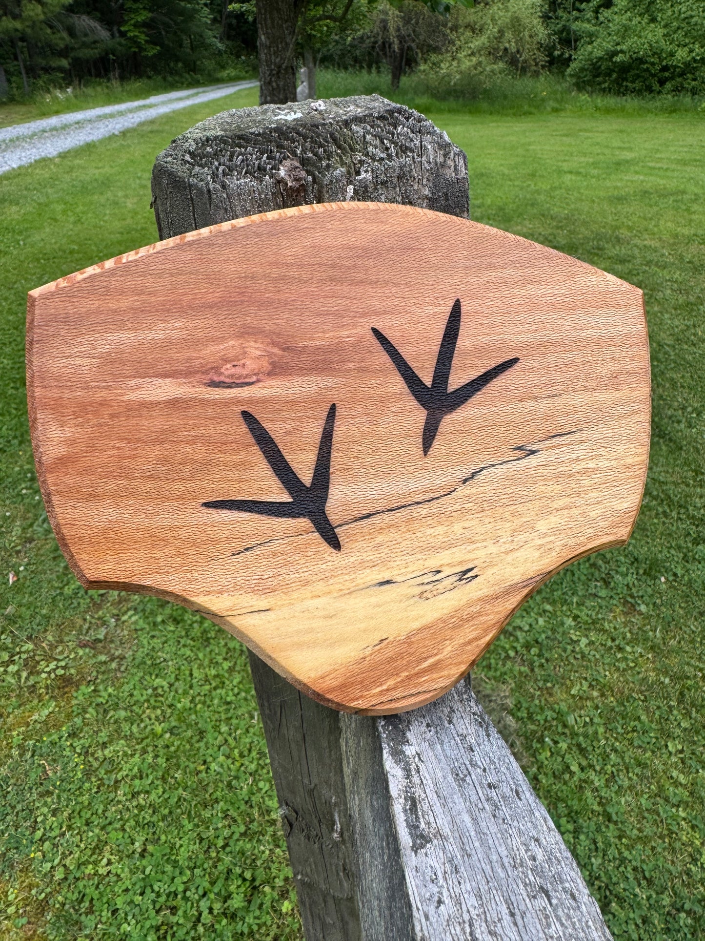 Turkey Track Tail/Beard Plaque