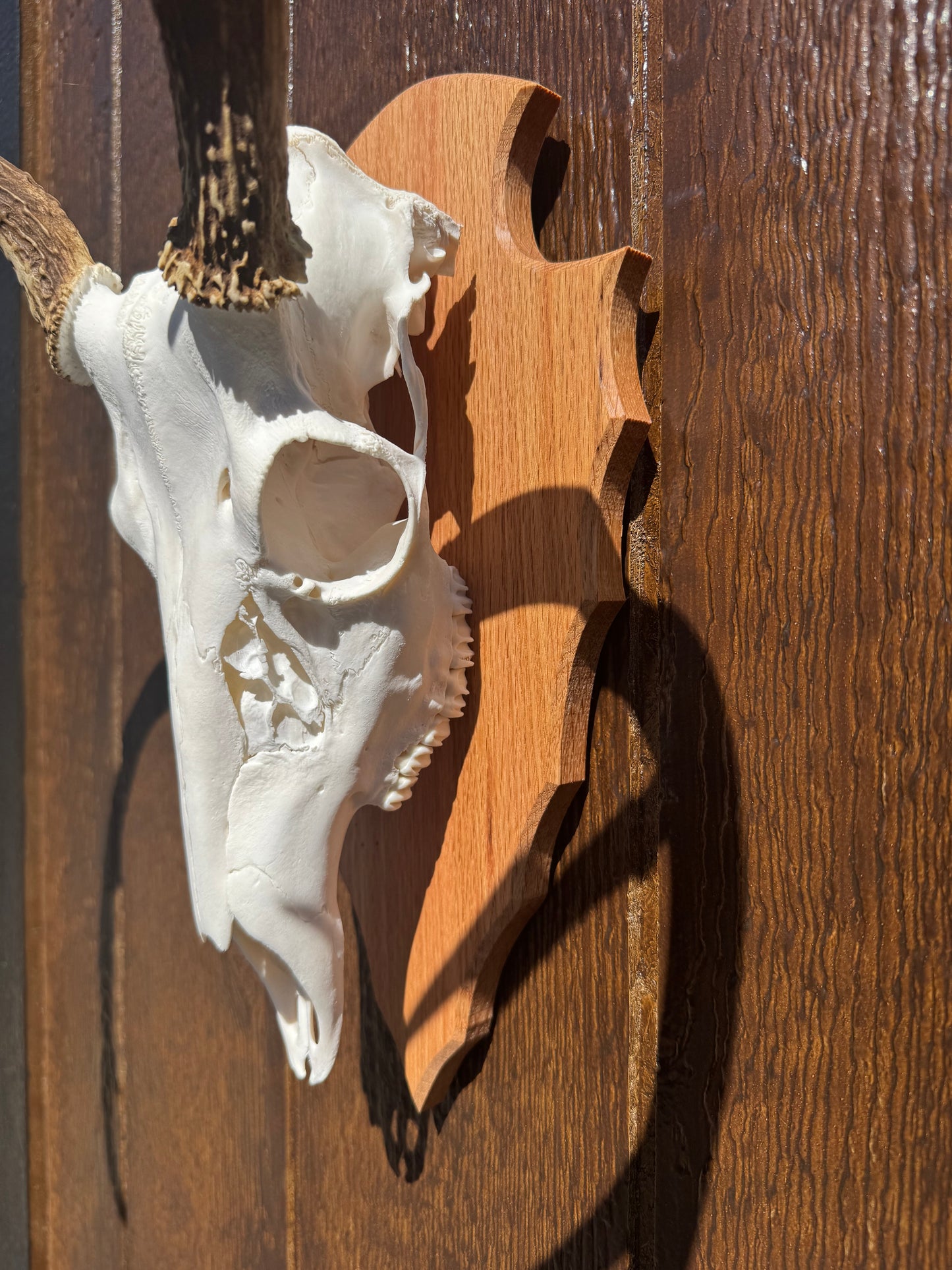 Arrowhead Deer European Face Plate