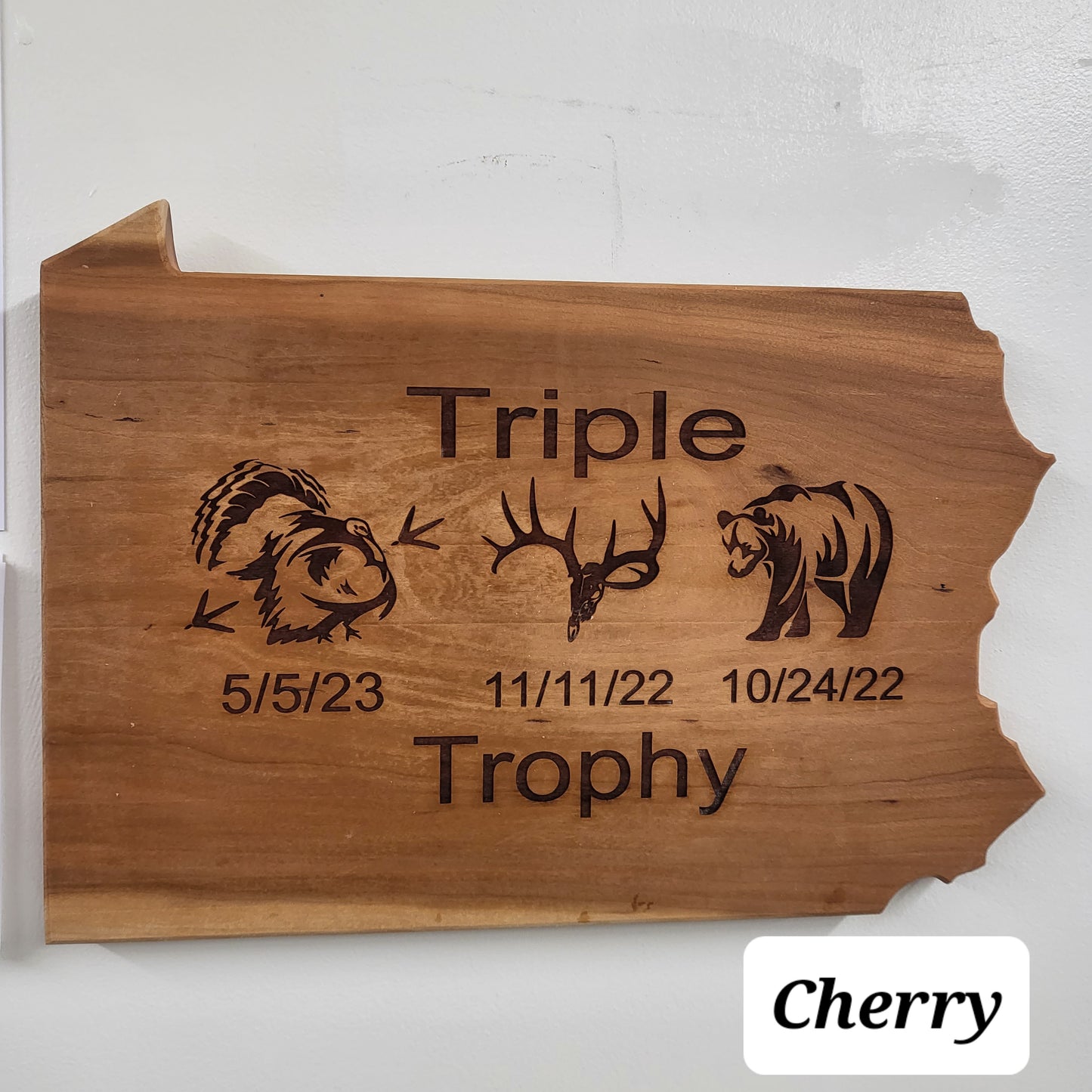 Pennsylvania Triple Trophy Plaque