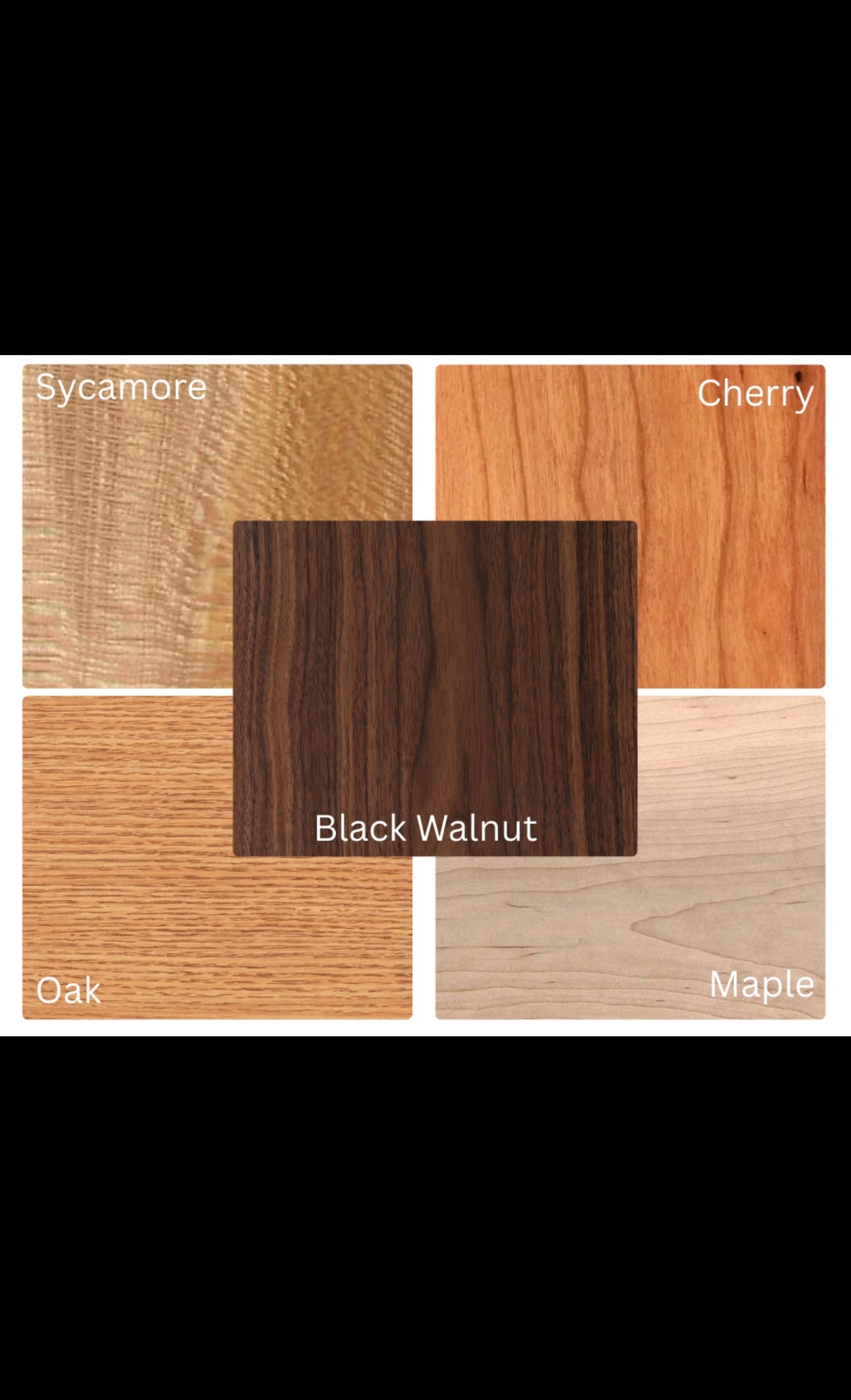 State European Deer Plaque Skull Mount