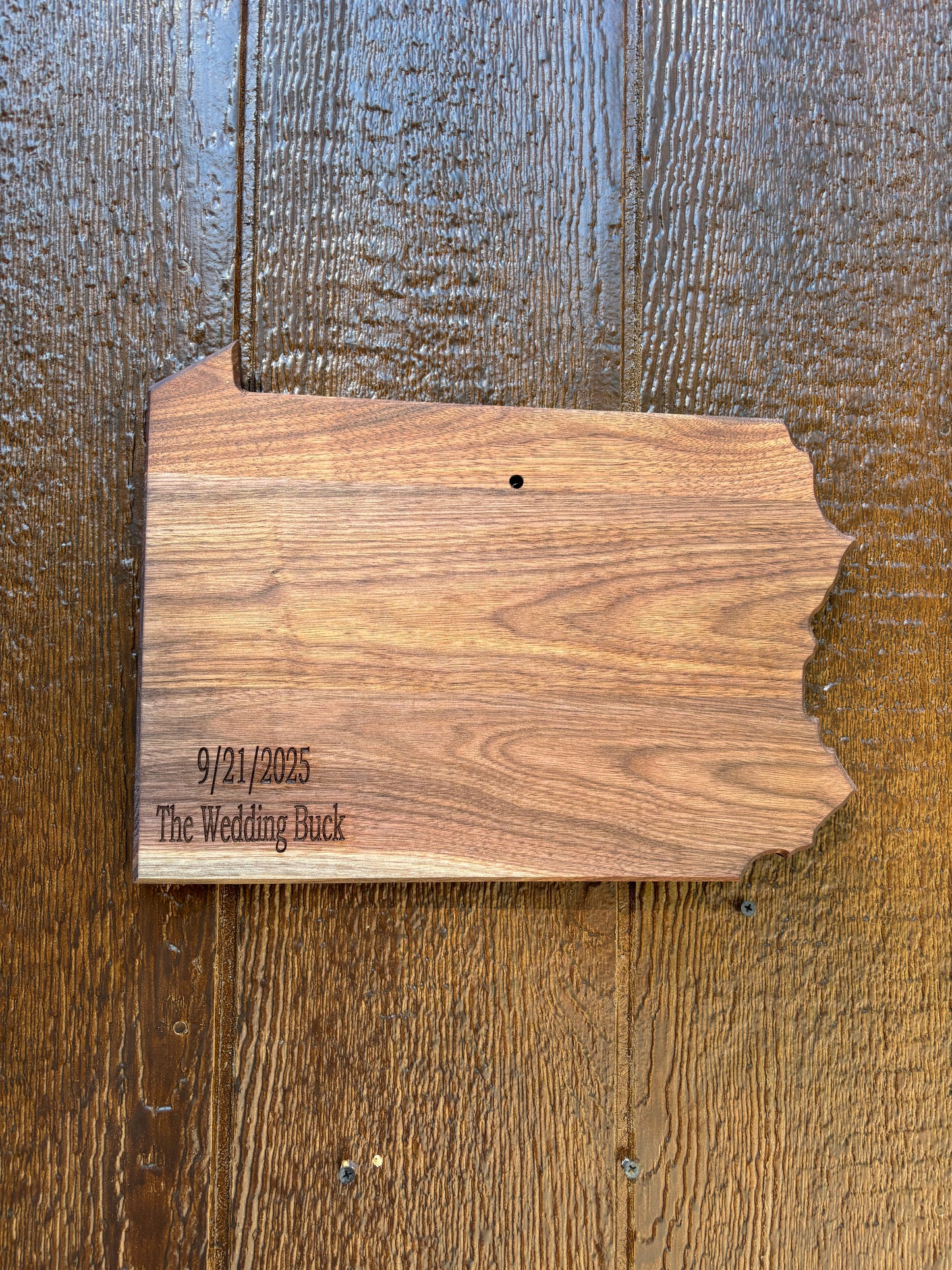 State European Deer Plaque Skull Mount