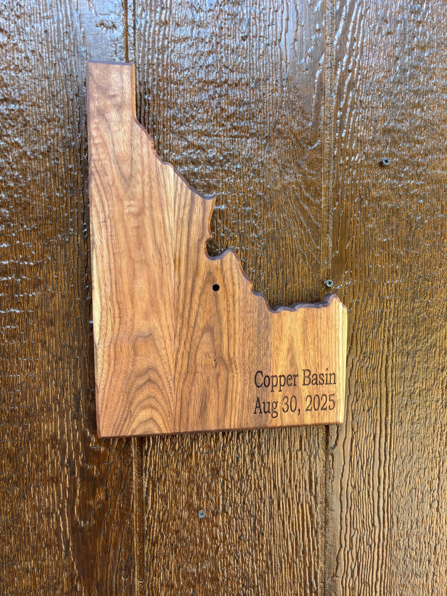 State European Deer Plaque Skull Mount