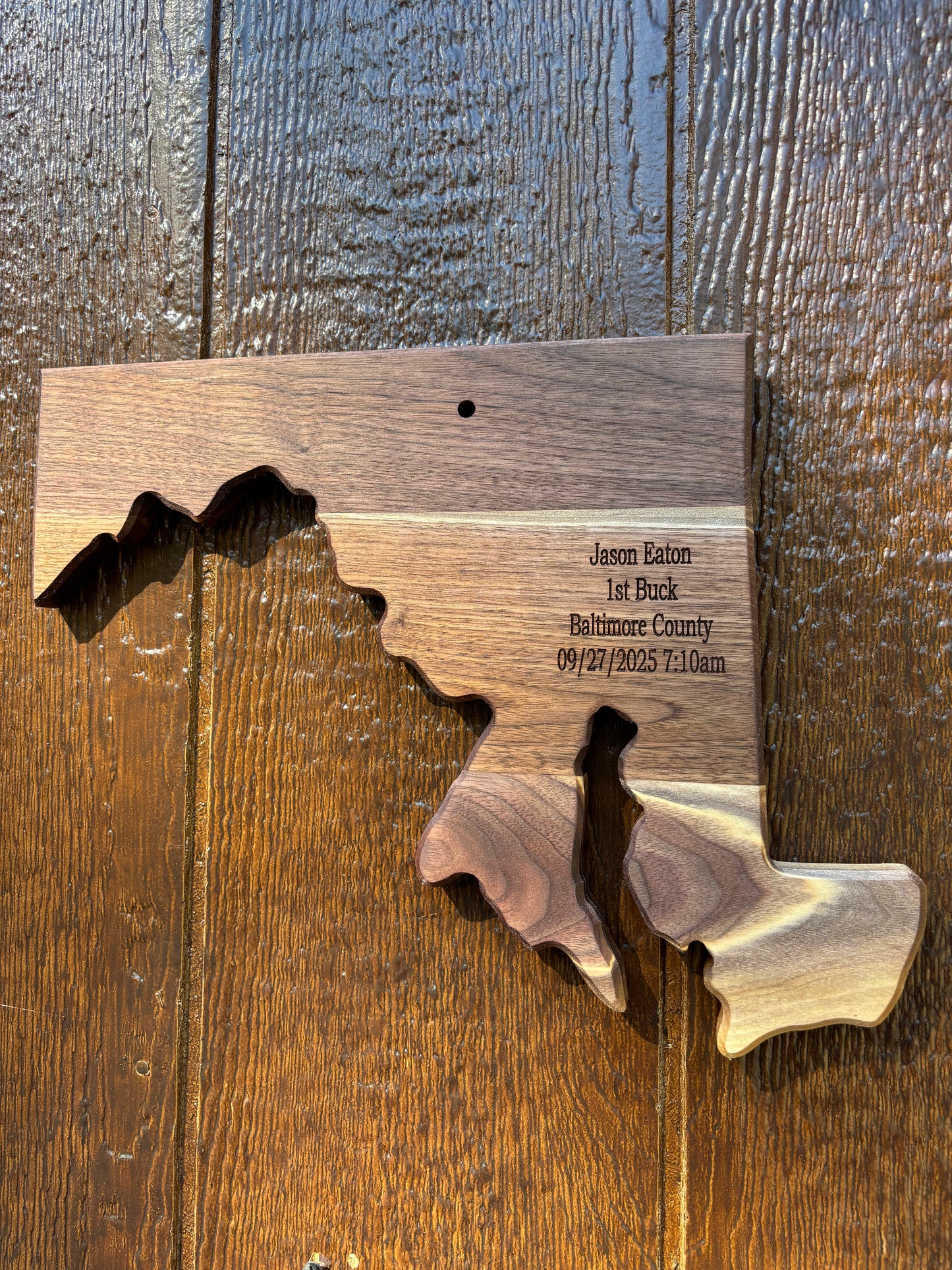 State European Deer Plaque Skull Mount