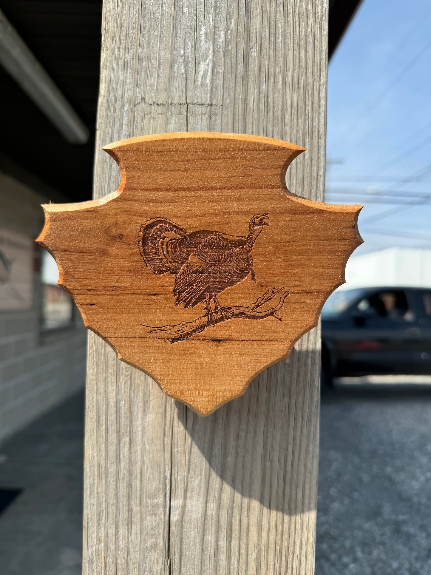 Arrowhead Turkey Tail Plaque Engraved