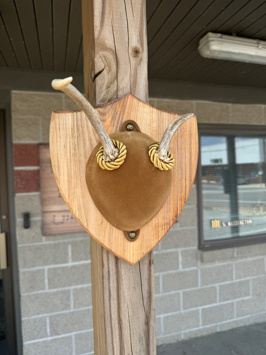 Antler Mounting Kit Shield