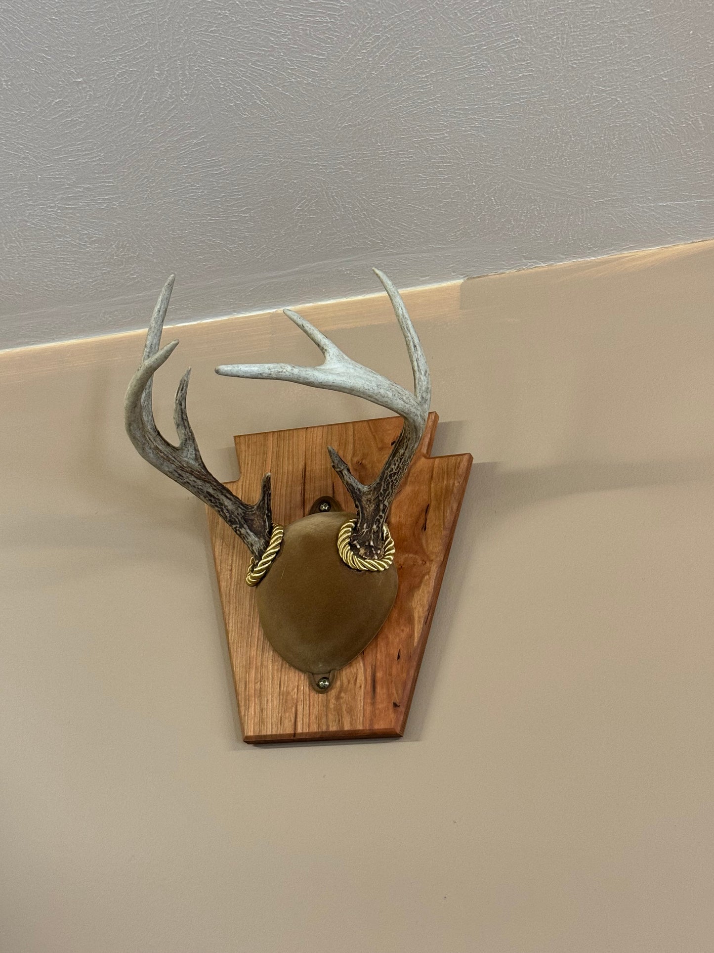 Antler Mounting Kit Keystone