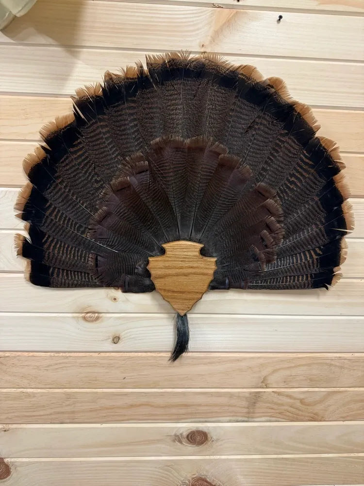 Arrowhead Turkey Tail Plaque